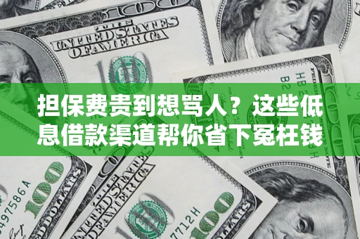 济南担保费贵到想骂人？这些低息借款渠道帮你省下冤枉钱