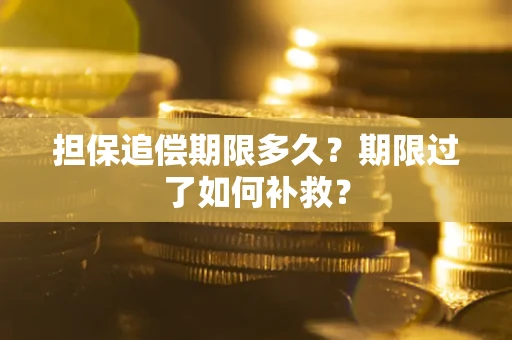 济南担保追偿期限多久？期限过了如何补救？